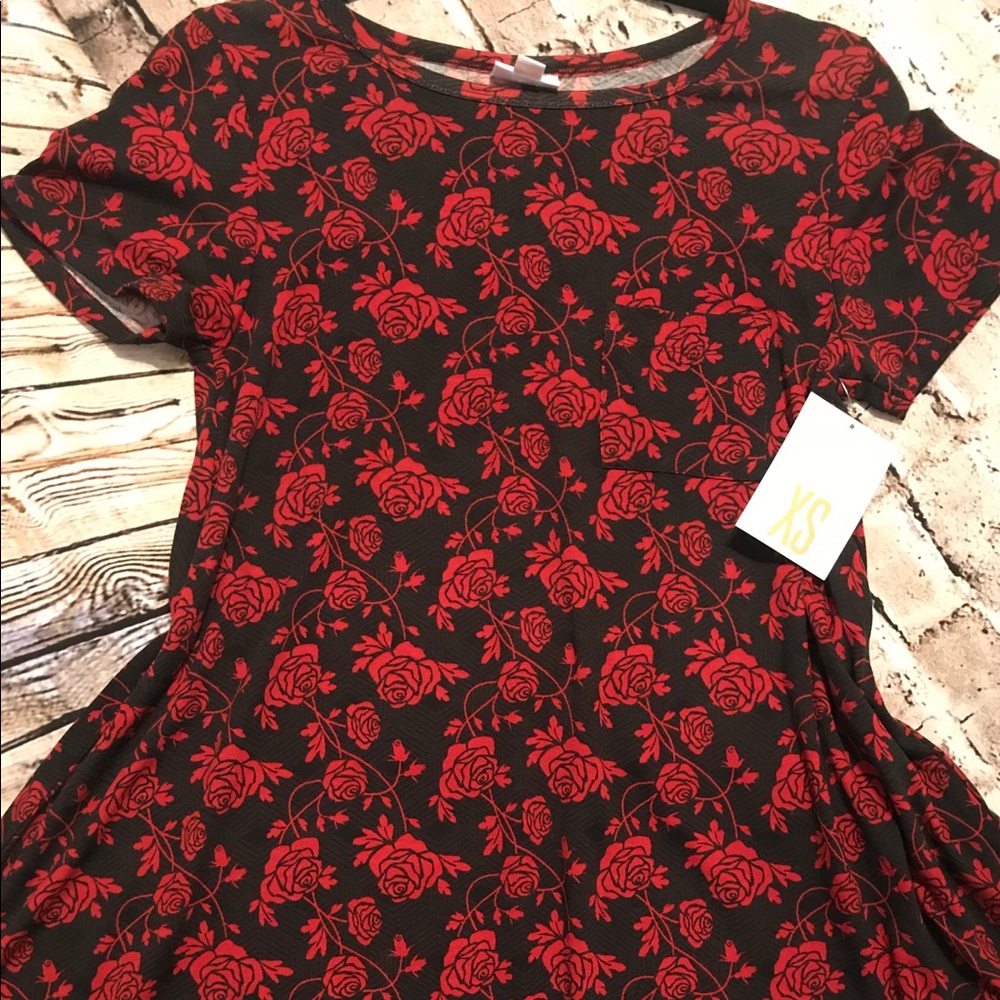LuLaRoe Carly Dress XS
